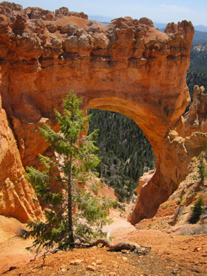 arch in bryce